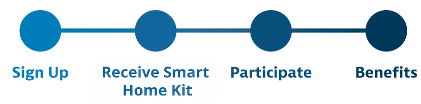 Participation Timeline